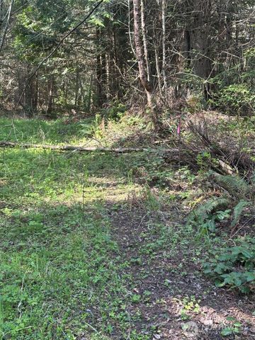 9999 Pristine Lane, Lot 1, Port Angeles, WA 98362