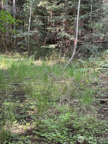 9999 Pristine Lane, Lot 1, Port Angeles, WA 98362