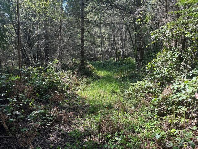 9999 Pristine Lane, Lot 1, Port Angeles, WA 98362