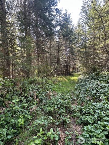 9999 Pristine Lane, Lot 1, Port Angeles, WA 98362