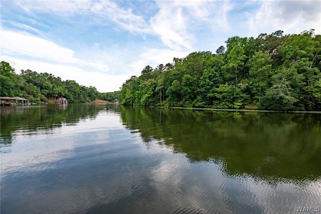 13973 Stone Harbour, Northport, AL 35475