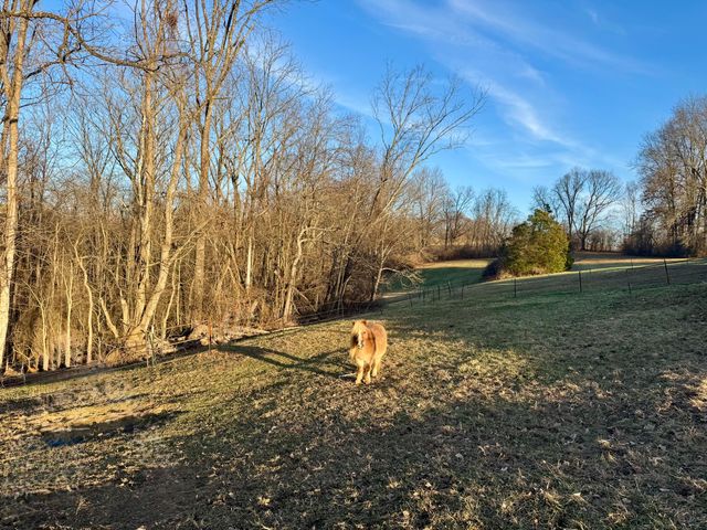 13494 Salem Creek Road, Walton, KY 41094