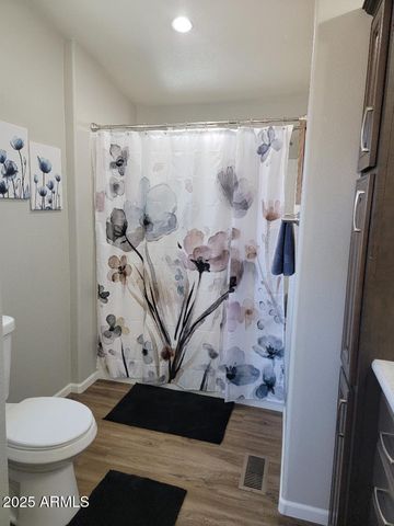 3727 N INDIANA Avenue, Florence, AZ 85132