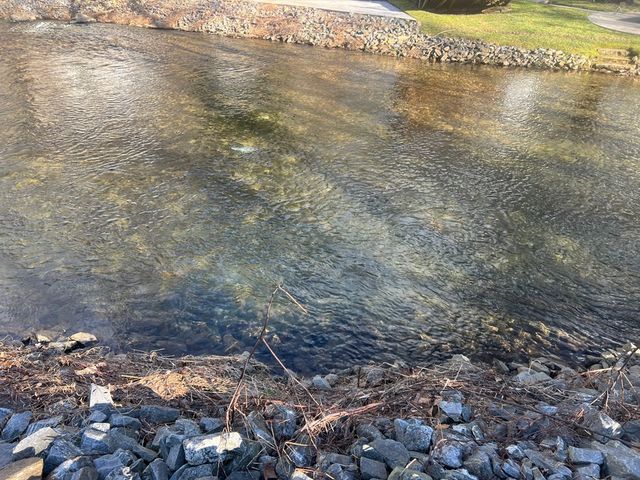 Tract 3 Riverside Meadow Drive, Hiawassee, GA 30546