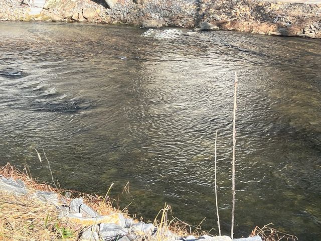 Tract 3 Riverside Meadow Drive, Hiawassee, GA 30546