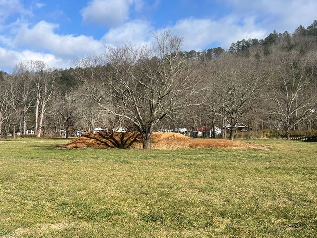 Tract 3 Riverside Meadow Drive, Hiawassee, GA 30546