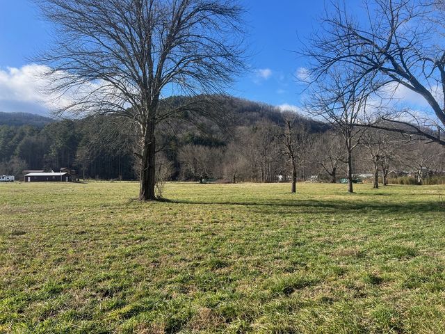 Tract 3 Riverside Meadow Drive, Hiawassee, GA 30546