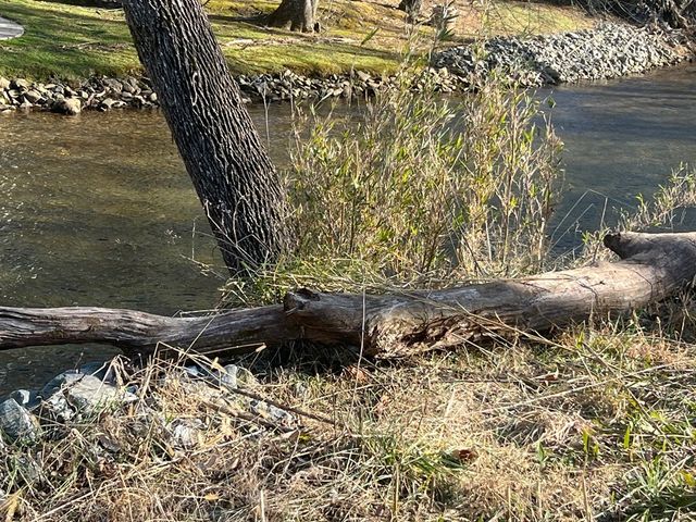 Tract 3 Riverside Meadow Drive, Hiawassee, GA 30546