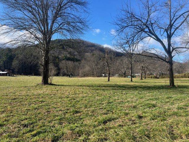 Tract 3 Riverside Meadow Drive, Hiawassee, GA 30546