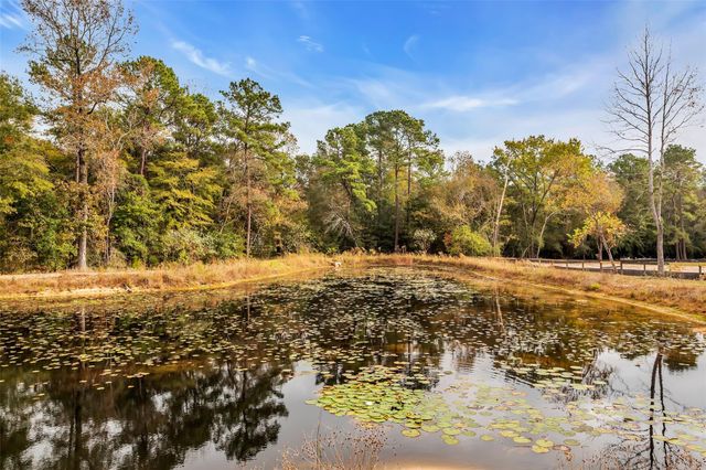 28414 Dobbin Huffsmith Road, Magnolia, TX 77354