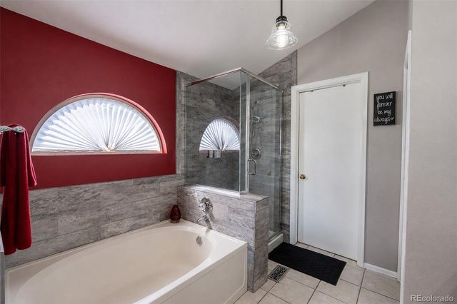 10102 Telluride Street, Littleton, CO 80125