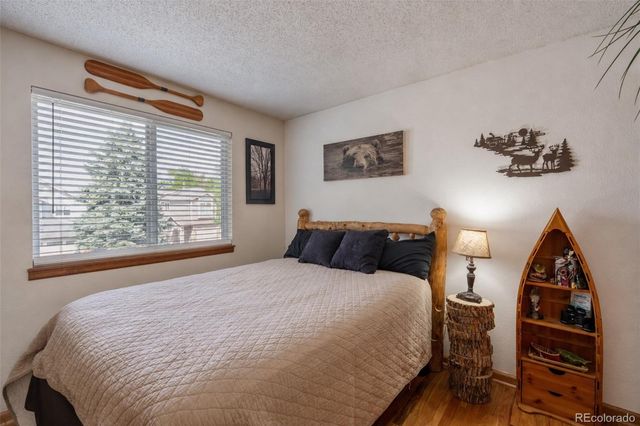 10102 Telluride Street, Littleton, CO 80125