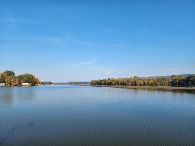 367 River Drive, Hollywood, AL 35752