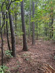 3842 Salacoa-Tract A, Waleska, GA 30183