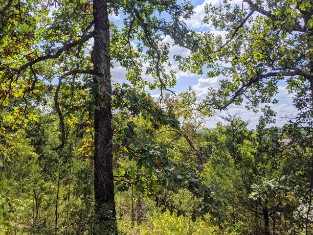 000 Shady Drive, Branson, MO 65616