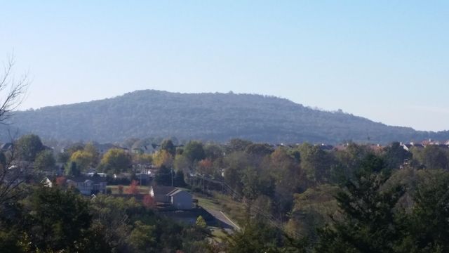 000 Shady Drive, Branson, MO 65616