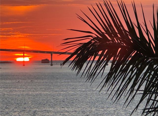 602 LIME AVENUE 203, Clearwater, FL 33756