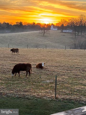 13 FARM RIDGE CT, Baldwin, MD 21013