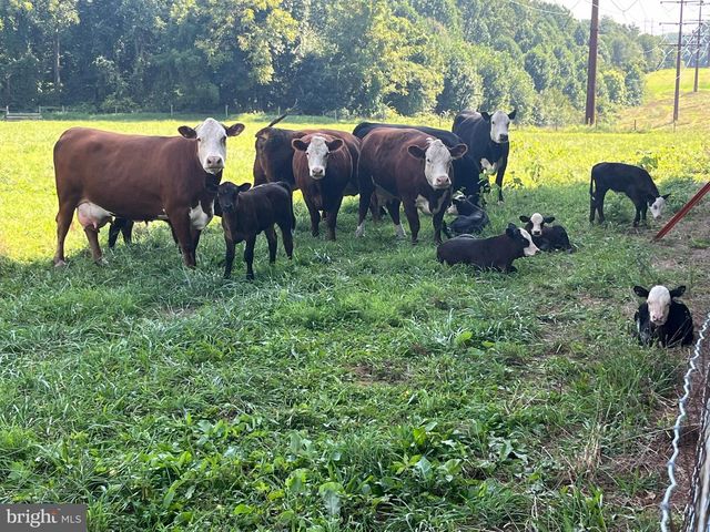 13 FARM RIDGE CT, Baldwin, MD 21013