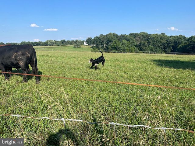 13 FARM RIDGE CT, Baldwin, MD 21013