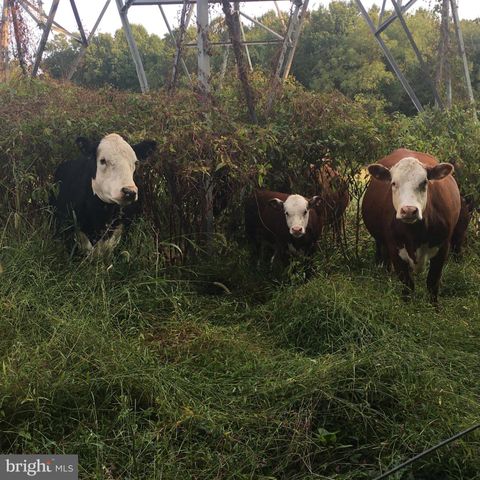 13 FARM RIDGE CT, Baldwin, MD 21013