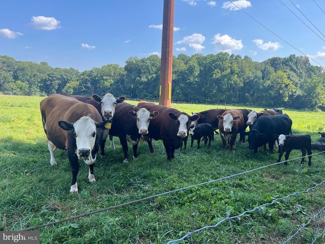 13 FARM RIDGE CT, Baldwin, MD 21013