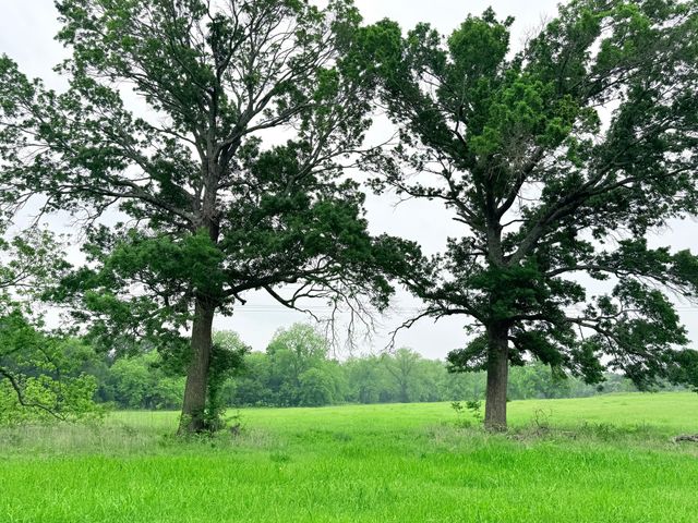 20 Acres Gathings Avenue, Covington, TX 76636