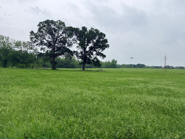 20 Acres Gathings Avenue, Covington, TX 76636