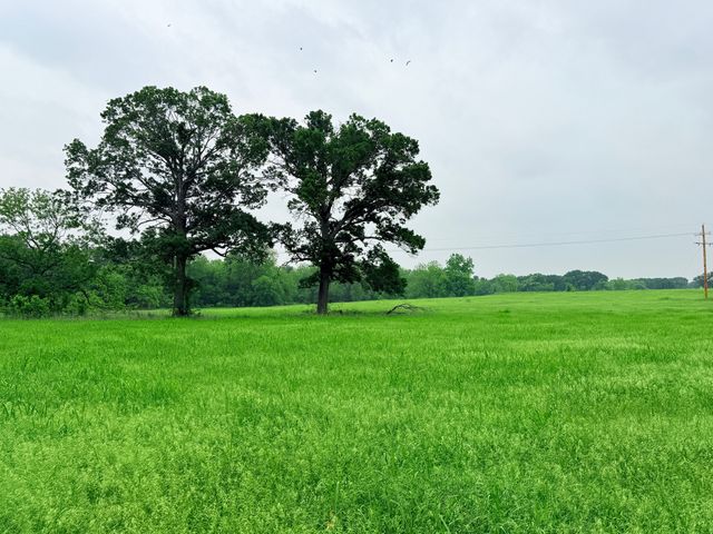 20 Acres Gathings Avenue, Covington, TX 76636