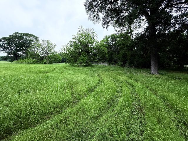 20 Acres Gathings Avenue, Covington, TX 76636