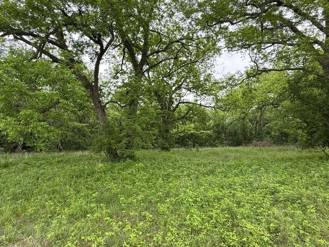 20 Acres Gathings Avenue, Covington, TX 76636