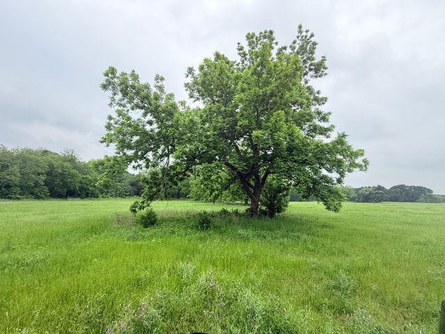 20 Acres Gathings Avenue, Covington, TX 76636