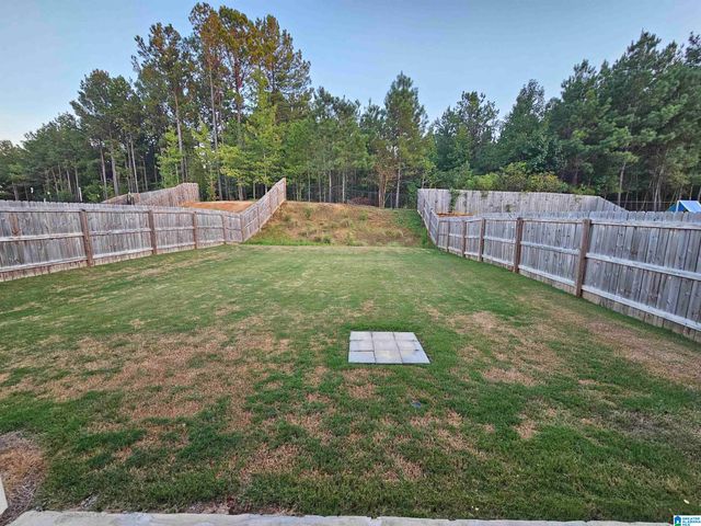 236 CHELSEA PARK CIRCLE, Chelsea, AL 35043