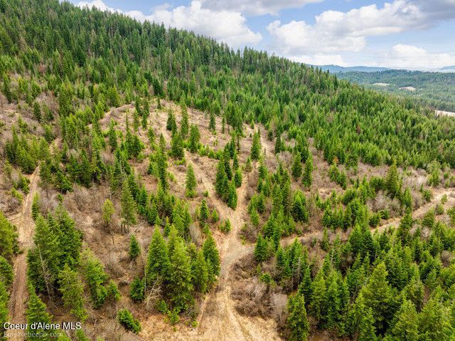 497 Thimbleberry Lane, Plummer, ID 83851