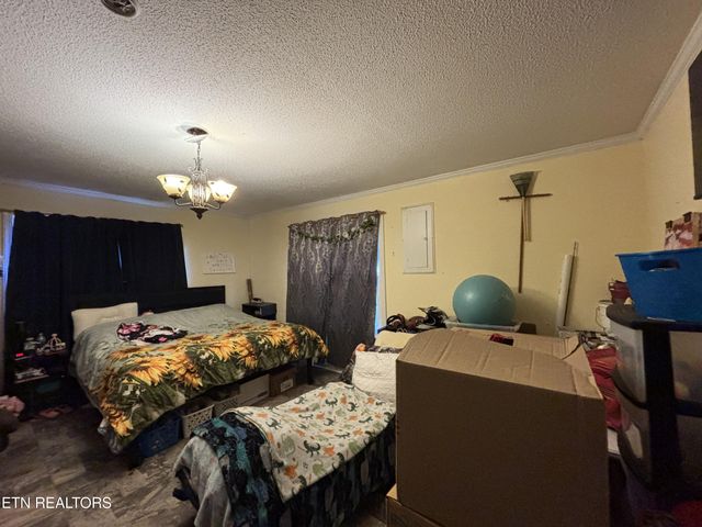 111 Sunset Ave, Englewood, TN 37329