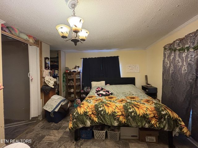 111 Sunset Ave, Englewood, TN 37329