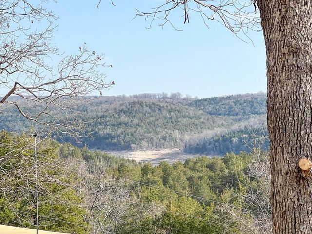 139 Cloverdale Circle, Theodosia, MO 65761