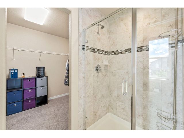 5628 Bexley Dr, Windsor, CO 80550