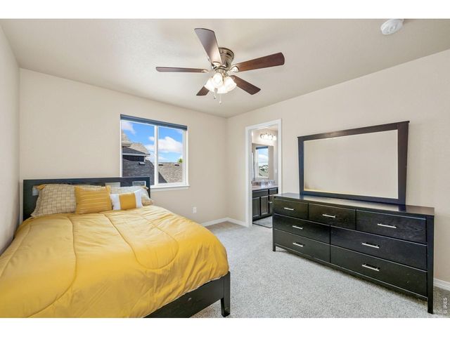 5628 Bexley Dr, Windsor, CO 80550