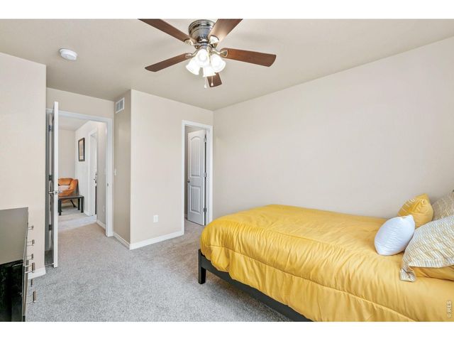 5628 Bexley Dr, Windsor, CO 80550