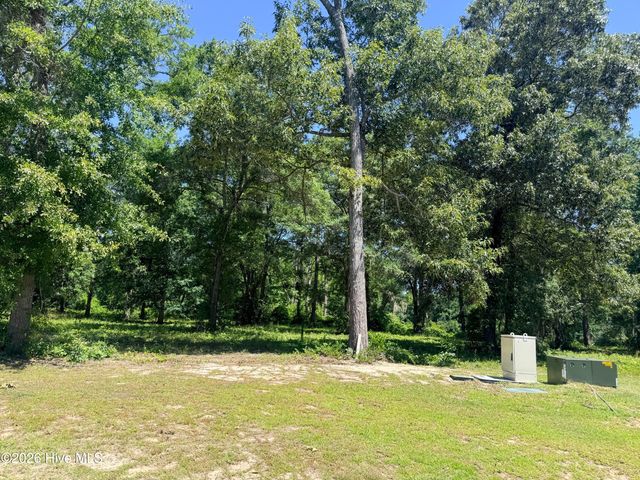 3805 River Park Way NE, Leland, NC 28451