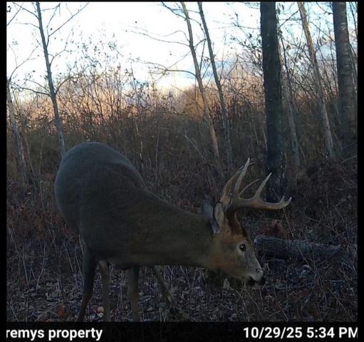 3887 S Lyman Lake Rd, South Range, WI 54874