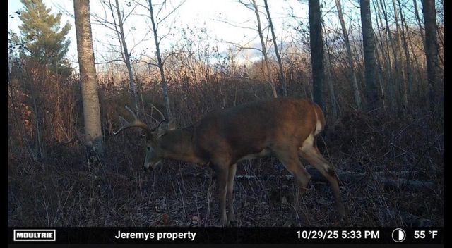 3887 S Lyman Lake Rd, South Range, WI 54874