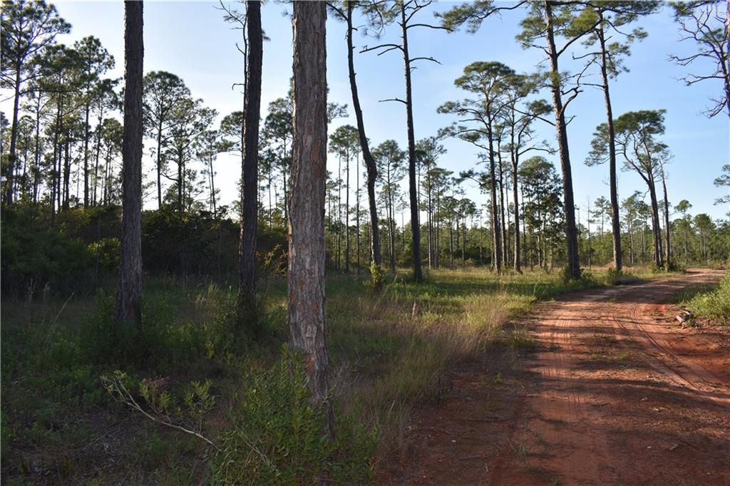 5154 Lossing Road, Coden, AL 36523