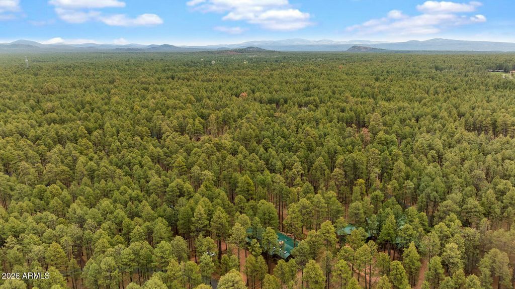 Image 61 of property listing at 2539 BUTTERFLY Lane, Pinetop, AZ 85935