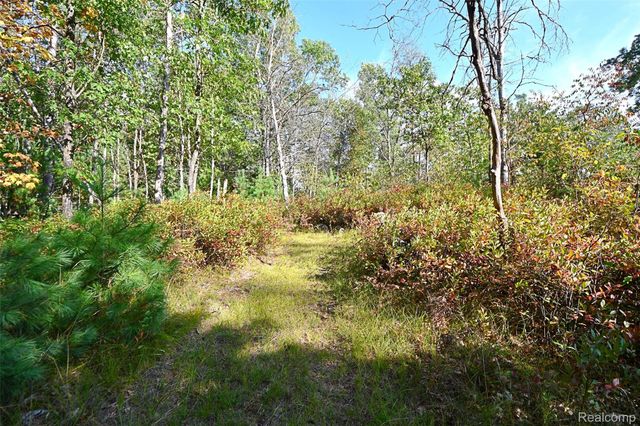 1616 Menona Lane, Richfield Township, MI 48656