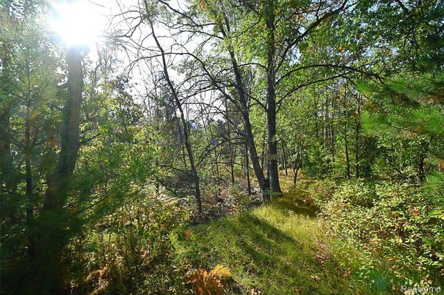 1616 Menona Lane, Richfield Township, MI 48656