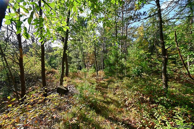 1616 Menona Lane, Richfield Township, MI 48656