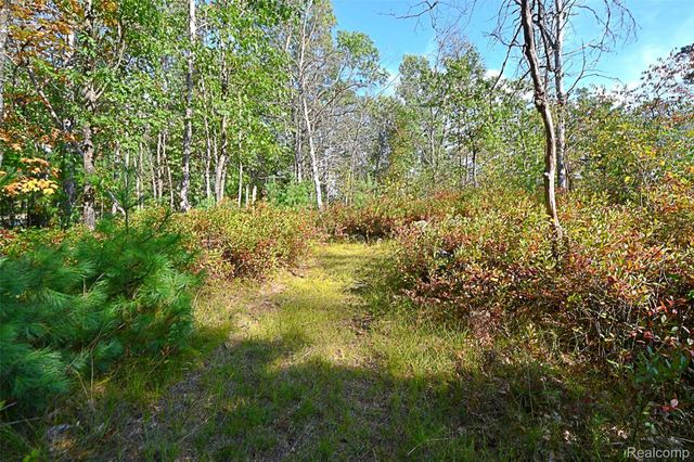 1616 Menona Lane, Richfield Township, MI 48656