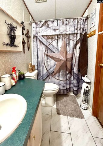 758 Maple Street, Pelion, SC 29123